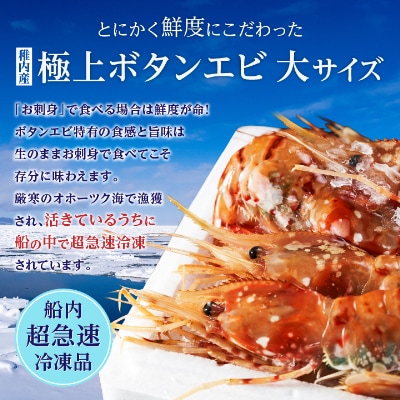 【厳選品】ボタンエビ大サイズ500g + ホタテ200gセット 刺身 海鮮