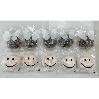プレミアムフローズンドーナツ2種10個【チョコあんドーナツ×5、スノーウィーバニラ×5】