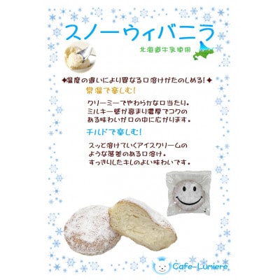 プレミアムフローズンドーナツ2種10個【チョコあんドーナツ×5、スノーウィーバニラ×5】