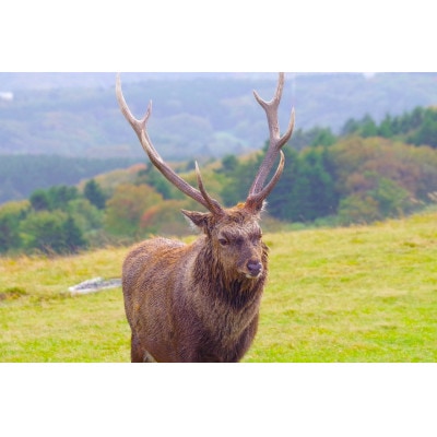 日本最北端!宗谷丘陵・白い道サイクリングツアー1名様ご招待