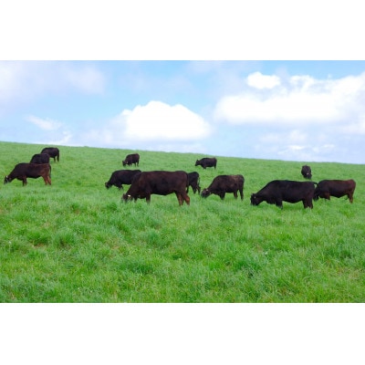 日本最北端!宗谷丘陵・白い道サイクリングツアー1名様ご招待