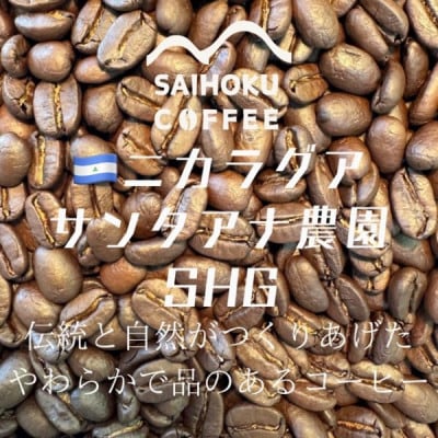自家焙煎珈琲　ドリップバッグコーヒー ニカラグア・サンタアナ農園SHG 12袋《中深煎り》