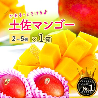 かおる・とろける!土佐マンゴー(2~5個)×1箱