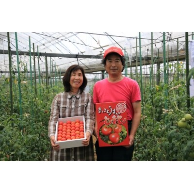 水田さんのまっことうまいトマト
