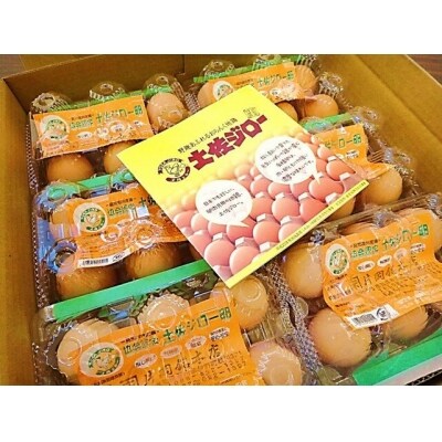 土佐ジローたまご 36個(6個入り×6パック)