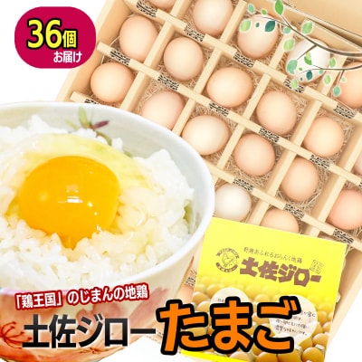 土佐ジロー濃厚たまご(1箱36個入)
