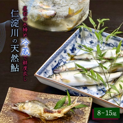 【6月から9月の発送】仁淀川の天然鮎(8匹～15匹)★冷蔵