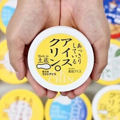 高知アイスのアイスクリーム