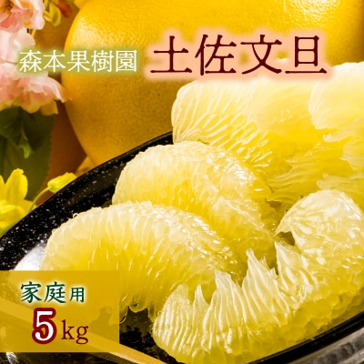 土佐文旦家庭用5kg(森本果樹園)