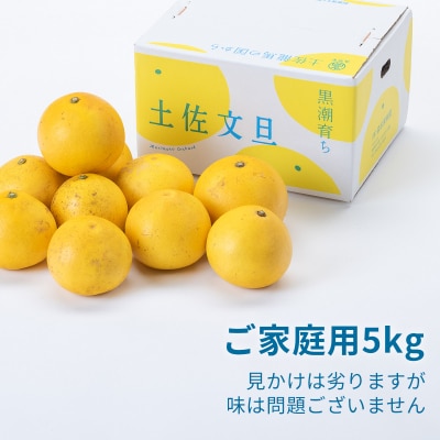 土佐文旦家庭用5kg(森本果樹園)