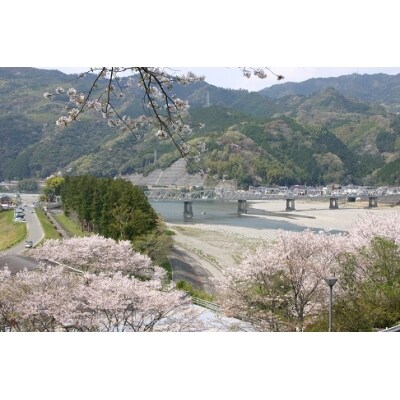 かんぽの宿伊野 宿泊券
