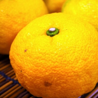 高知アイスの無添加ゆずドリンク「希釈用」1L×1本