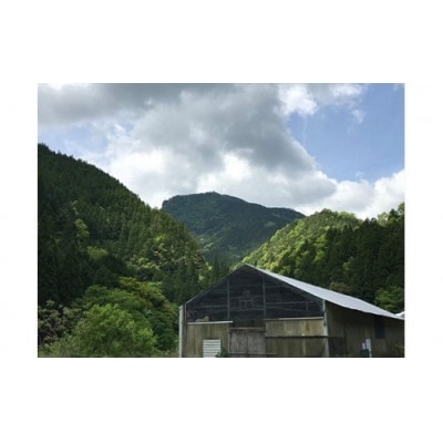 ヘルシーで旨みたっぷり!本川手箱きじコロッケ(10個)