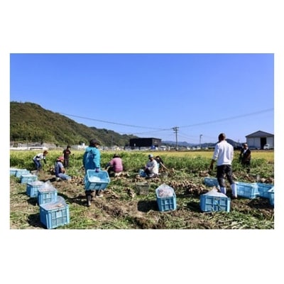 刈谷農園の生姜1kg