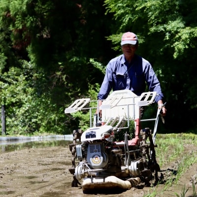 上東産　仁淀米【2025年10月末頃から発送】