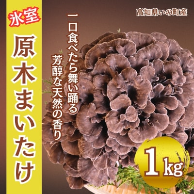 氷室原木まいたけ【2025年事前受付】1kg