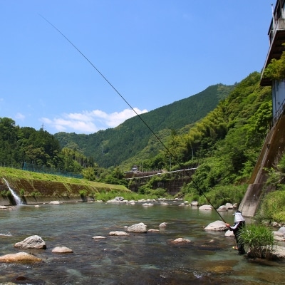 フレッシュマートキシモトさんの天然鮎(冷凍)500g