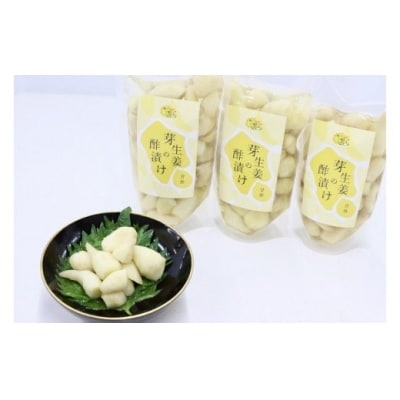 芽生姜の甘酢漬け 3パック