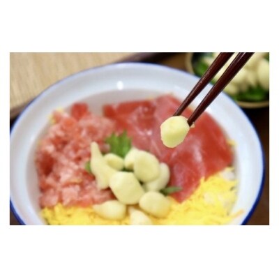 芽生姜の甘酢漬け 3パック