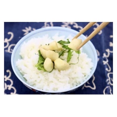 芽生姜の甘酢漬け　5パック