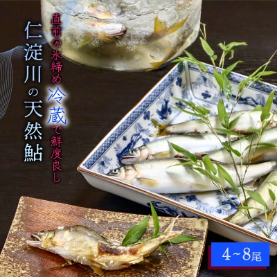 【6月から9月の発送】仁淀川の天然鮎(4匹～8匹)★冷蔵