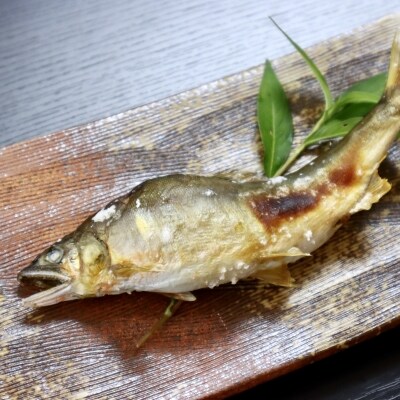 【6月から9月の発送】仁淀川の天然鮎(4匹～8匹)★冷蔵