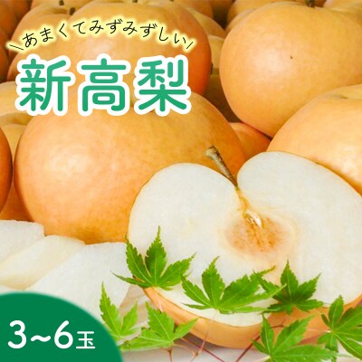 【2023年収穫】森本農園の新高梨　4kg(3～6玉)