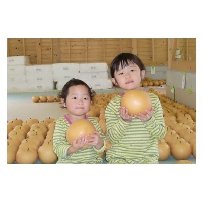 【2022年10月から発送】森本農園の新高梨 4kg