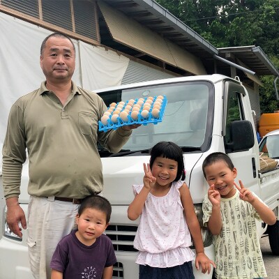 【定期便】土佐ジローたまご(1箱25個入)×6回　約2週間毎に1回