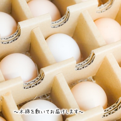 【定期便】土佐ジローたまご(1箱36個入)×3回　約3週間毎に1回