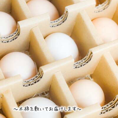 【定期便】土佐ジローたまご(1箱36個入)×3回　約3週間毎に1回