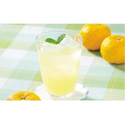 高知アイスの無添加ゆずドリンク「希釈用」1L×6本