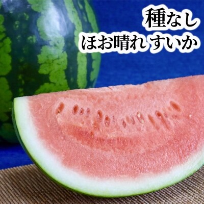 種無しすいか 22年分事前受付 お礼品詳細 ふるさと納税なら さとふる