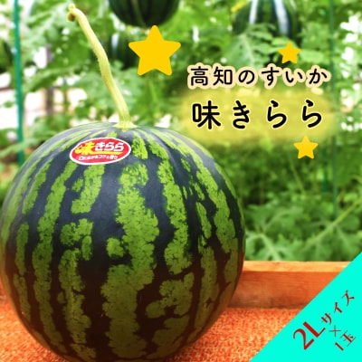 ★5月初旬まで!★すいか(味きらら)1玉　2Lサイズ