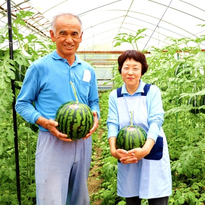 ★5月初旬まで!★すいか(味きらら)1玉　2Lサイズ