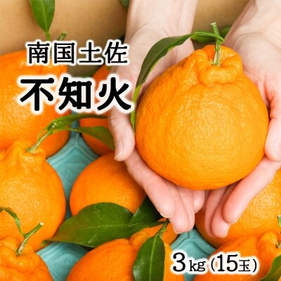 柑橘・みかん　しらぬい(不知火)3kg　　15玉サイズ