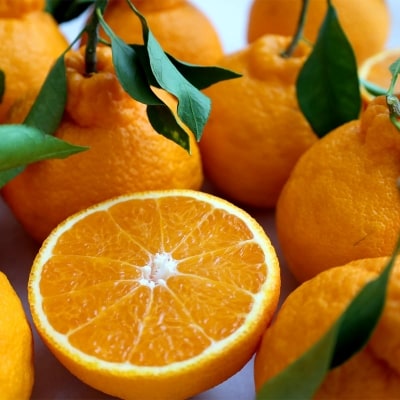 柑橘・みかん　しらぬい(不知火)3kg　　12玉サイズ