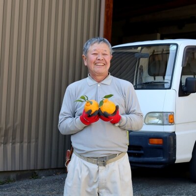 柑橘・みかん　しらぬい(不知火)3kg　　10玉サイズ