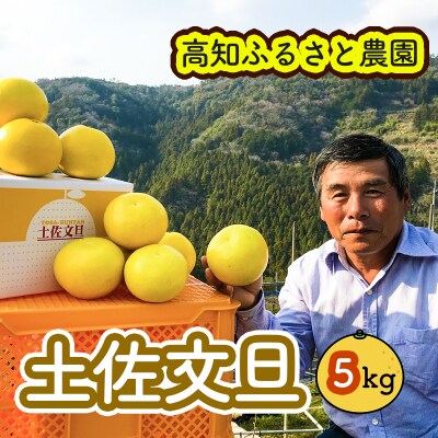 土佐文旦贈答用約5kg(高知ふるさと農園)　