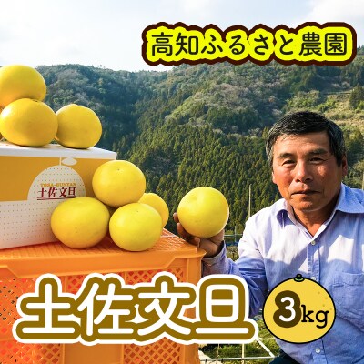 土佐文旦贈答用約3kg(高知ふるさと農園)