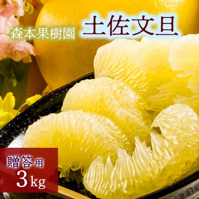 土佐文旦贈答用約3kg(森本果樹園)