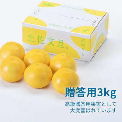 土佐文旦贈答用約3kg(森本果樹園)