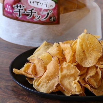 利休　とんとん紙相撲と生けんぴのセット