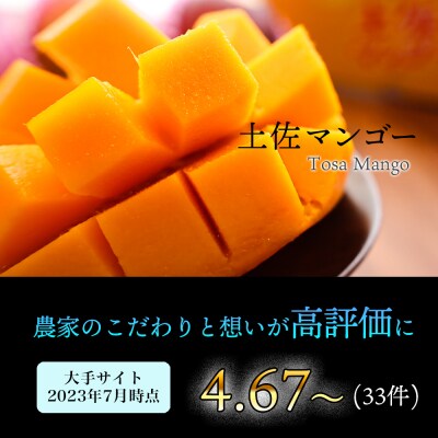 【母の日にお届け】かおる・とろける!土佐マンゴー(2～5個)