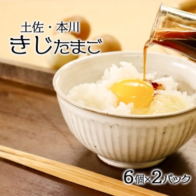 【5月末頃まで】本川手箱　きじたまご(12個)