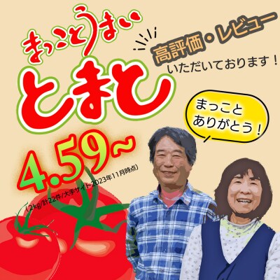 まっことうまい!水田さんのフルーツトマト【約2kg×3箱 / 化粧箱入】