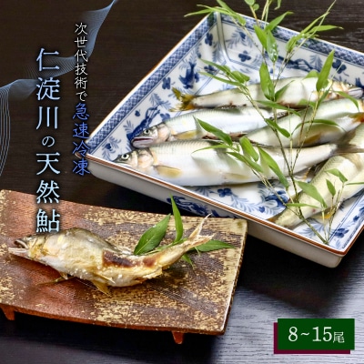仁淀川の天然鮎(8匹～15匹)★冷凍