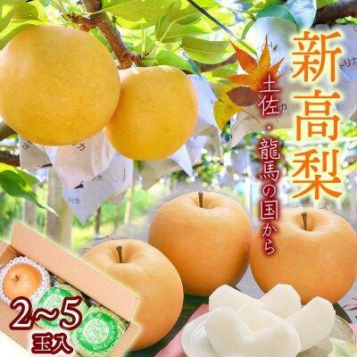 【2023年収穫】森本果樹園の新高梨　2.5～3.5kg(2～5玉)