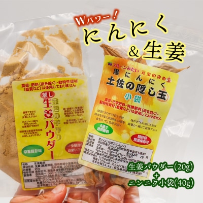 黒にんにく&「蒸し」生姜パウダーセット　(各2袋)