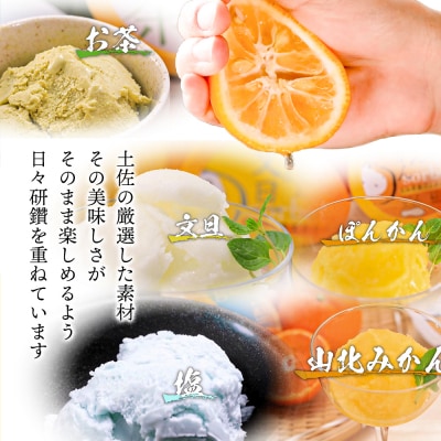 ★敬老の日★高知アイスの「アイスクリーム」　16個セット(8種類×2個)